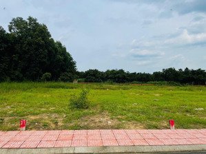 bán gấp lô đất giửa 2 kcn bàu cạn - tân hiệp