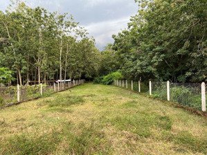 cần bán lô đất đường võ thị bàng, 4,05 tỷ, 1009,4m2, hàng hiếm ở củ chi