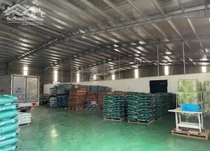 Cho thuê kho xưởng tại Hải Dương