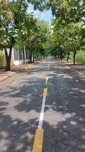 bán đất sổ đỏ cá nhân sát trường đại học umt.tại cát lái.quận 2.dt 7x20m(140m2) giá 68 tr/m2.