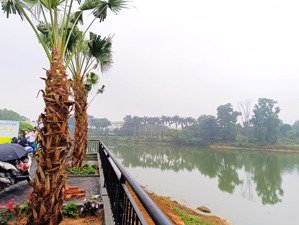 lô đất vàng cạnh đh quốc gia tại phú cát - quốc oai - hoà lạc, sát đô thị lớn, metro 5, ql21