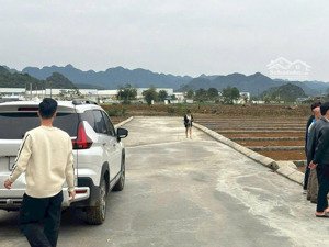 tôi cần bán gấp 2 lô đất khu công nghiệp thạch quảng - thanh hóa giá chỉ từ 190tr/lô.