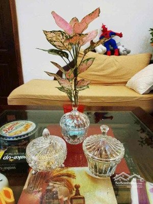 chung cư a6d nam trung yên - 50m2/2pn