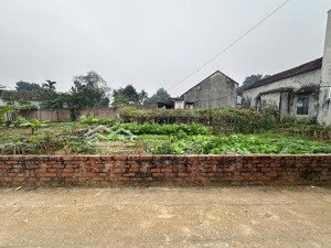 hot đất vị trí đẹp giá tốt chính chủ cần bán nhanh đất liền kề tại huyện thạch thất, tp hà nội