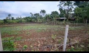 bán qsd đất riêng tại xã bình giã, tp. hồ chí minh