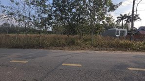 bán đất tại mặt tiền dh619, 5 tỷ tl, dt đất 1.620m2 có 300m2 đất xd, pháp lý đầy đủ