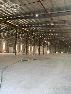 Cho thuê nhà máy trong KCN Quang Minh, Hà Nội, dt 6000m2 pccc tự động.Lh 0988 457 392