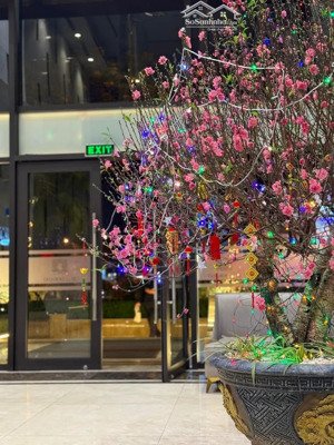 rẻ nhất toà del dorado tây hồ, bán căn hộ 2pn - 2vs - 70m2 giá bán 9.3 tỷ, có sổ lâu dài