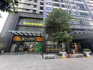 bán shophouse phố hồ tùng mậu - mt 20m - cho thuê 300tr/tháng - sổ đỏ cc - lâu dài - 72 tỷ