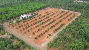 lô đất đẹp 3 mặt tiền đường nhựa lớn