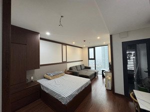 cho thuê căn hộ studio tầng cao tại sentosa sky park view trung tâm thành phố