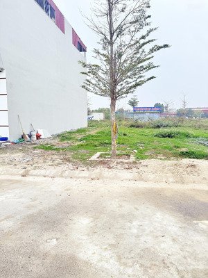 bán đất đấu giá quang thịnh, lạng giang, bắc giang. 90m2- mặt tiền 6m. giá 1,3 tỷ