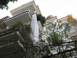 chính chủ bán nhà kiểu biệt thự pháp, 3 mặt thoáng trong đó 2 mặt oto vào