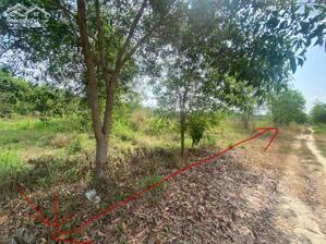 Cần bán 2 miếng đất liền kề tại Xã Long Hoà,Dầu Tiếng,BD(HCM)