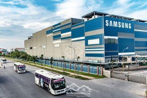 chính chủ cho thuê kho xưởng tổng 12.000 m2