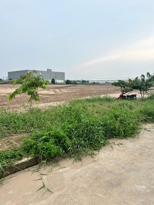 bán đất 12.000m² , 2 mặt tiền kcn vĩnh lộc 2, bến lức, long an (tây ninh mới ), giá : 250 usd/m²