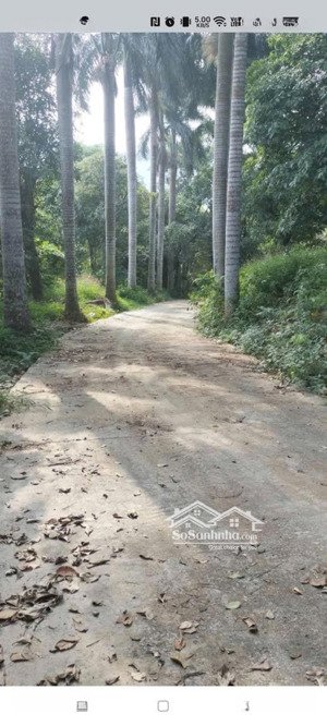 bán gấp khu đất sinh thái huyện quốc oai hàng xóm khu công nghệ cao hoà lạc 40.000m2 1 triệu/m2