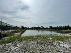 chính chủ cho thuê đất nông nghiệp 5000m2 xe tải vào tận nơi