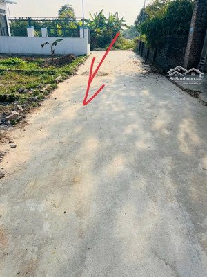 chính chủ em cần nhượng lại lô đất đẹp 67.4m2 tại phú hạ minh phú sóc sơn