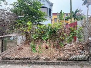 Cần bán gấp mảnh đất thổ cư đường thông tại trung tâm thôn Linh Quy Bắc, Kim Sơn, Gia Lâm