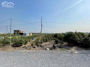 CHÍNH CHỦ CẦN BÁN GẤP LÔ ĐẤT NÔNG NGHIỆP NGAY XÃ BÌNH LỢI, BÌNH CHÁNH, THÀNH PHỐ HỒ CHÍ MINH