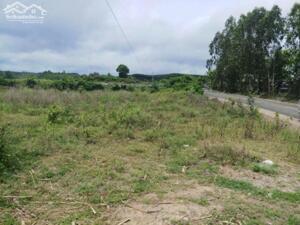 CHÍNH CHỦ CẦN BÁN GẤP LÔ ĐẤT MẶT TIỀN QUỐC LỘ 19C NGAY XÃ ĐỨC BÌNH TÂY, SÔNG HINH, PHÚ YÊN