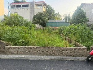 chính chủ gửi bán đất trục chính kinh doanh tại thôn nhì . phúc thịnh . hà nội ( thuộc xã vân nội)