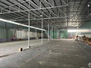 cho thuê kho xưởng 1.000m²có pccc và điện 3 pha, p.hưng phú - tp. cần thơ, giá thuê 50 triệu/ tháng