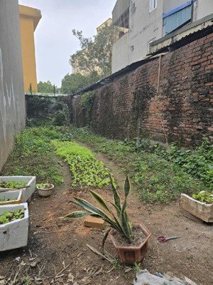 bán đất chính chủ ô cách phường việt hưng long biên dt 65m