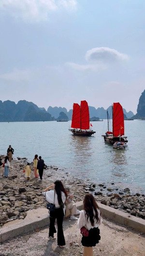 em gái chuyển công tác lên không ở nữa cần chuyển nhượng lại căn chung cư bim 17 tầng