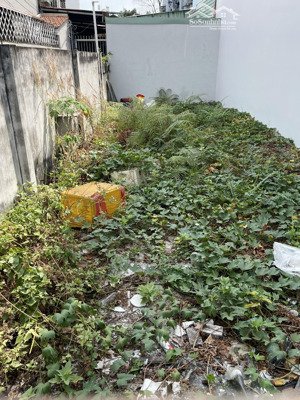 chính chủ gửi bán lô đất 60m ngang 4,2m vuông đường hẻm 21 đường 42 phường bình trưng đông quận 2