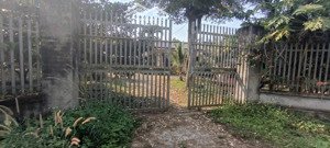 bán vườn sầu riêng ri6 năm 7, gần khu công nghiệp, sân bay lt