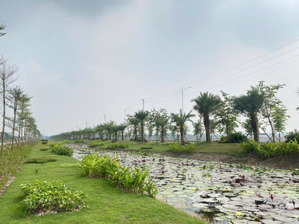 chuyển nhượng gấp lô đất hiếm trong kcn tại hà nam - giá chỉ 92$ (~2,4tr) tốt nhất thị trường