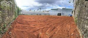 Bán đất 92m2, giá siêu hời hàng hiếm ngay trung tâm Đà Lạt