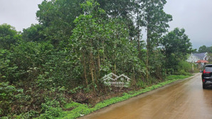 6 tỷ hơn / 1240 m2, mt 25m, đường 6 m, sổ đỏ, thôn phúc xuân, bắc sơn, sóc sơn, hn