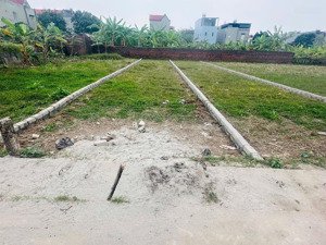 đất tại tdp găng phường đào viên tỉnh bắc ninh