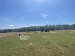 chính chủ cần bán 4861m2 đất hoà thắng có đường trên sổ 486 triệu, hoa hồng 3% cho người giới thiệu