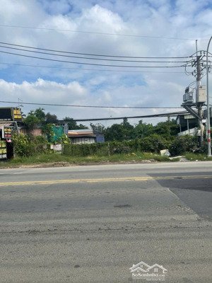 bán lô đất mặt tiền tỉnh lộ 8 bình mỹ củ chi hồ chí minh lh: 