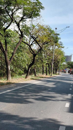 cho thuê mặt bằng kinh doanh đường nguyễn hữu thọ dân cư đông