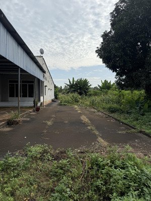 bán đất tại châu đức, bà rịa: 4,6 tỷ, 590m2, chính chủ sổ hồng, có thổ cư sẵn, ngay mặt tiền đường