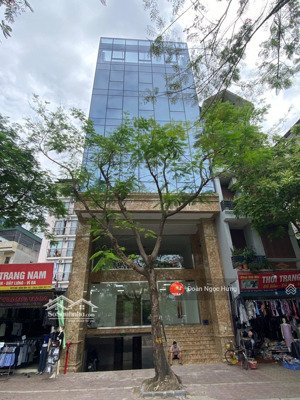 cho thuê nhà mặt phố khu lê trọng tấn, thanh xuân, dt 200m, 8 tầng 1 hầm, mt 12m, thông sàn, pccc