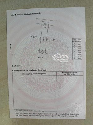 bán gấp đất tại trần hưng đạo đặc khu phú quốc, 4,8 tỷ, 116,7 m2 giá tốt