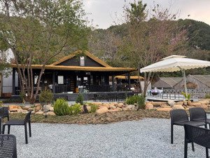 cafe & acoustic, camping phù thuỷ trong rừng