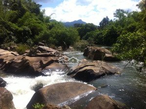 cho thuê đất vườn mặt tiền đường ql 20, dt 9.700m2 có thể làm trạm dừng chân