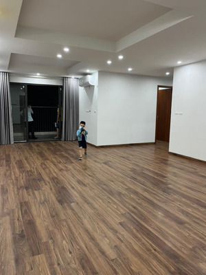 [giá tốt nhất] tôi cho thuê căn góc 3 ngủ, dt 100m, tầng trung, thoáng giá chỉ 15,5tr tại việt đức