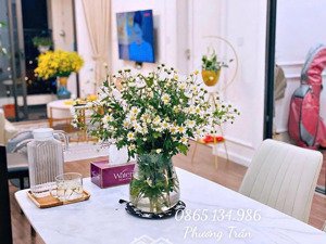 sunshine riverside, căn hộ 2n - view cầu, view sông, full nội thất, 6.5 tỉ