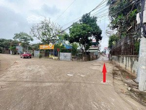 bán nhanh đất mai lâm, đông anh vị trí vàng, tiềm năng tăng giá mạnh, nhỉnh 5 tỷ