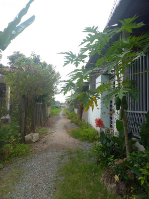 nhà đất phường an hội, tp bến tre