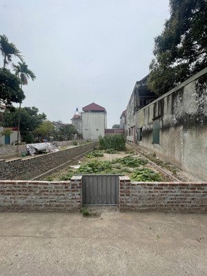 bán gấp đất nền 168m2 tại võng xuyên, phúc thọ, 21 triệu / m2, mặt tiền 5.2m, ngõ vào 4m