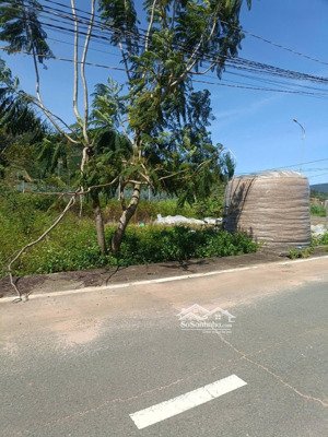 bán đất biệt thự đường nhựa ô tô bằng phẳng gần sân bay liên khương đức trọng hơn 2 tỷ